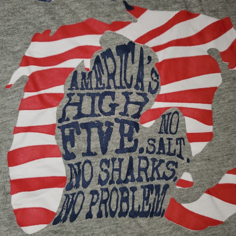 Michigan - America's high five shirt